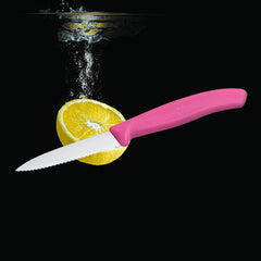 VICTORINOX SWISS CLASSIC PARING KNIFE POINT SERRATED PINK, 8 CM. - Mabrook Hotel Supplies