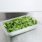 Cambro, Polycarbonate Food Storage Box (Medium), CLEAR - Mabrook Hotel Supplies