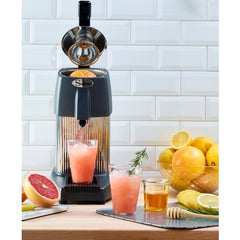 SANTOS CITRUS JUICER WITH LEVER 10 - Mabrook Hotel Supplies