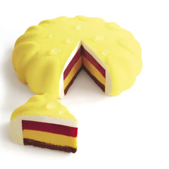 PAVONI PROFESSIONAL MOULD "DISK " - Mabrook Hotel Supplies