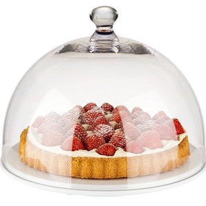 APS COVER, TRANSPARENT, POLYCARBONATE, 30X22 CM