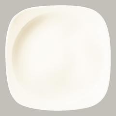 RAK DEEP PLATE WITH RIM, DIM: 24 CM, HEIGHT: 3.9 CM - Mabrook Hotel Supplies