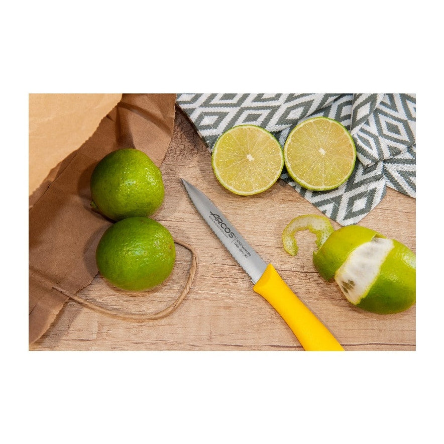 NOVA SERIES 100 MM PARING KNIFE - Mabrook Hotel Supplies