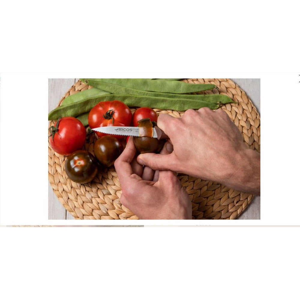 NOVA SERIES 100 MM SERRATED BROWN COLOUR PARING KNIFE - Mabrook Hotel Supplies