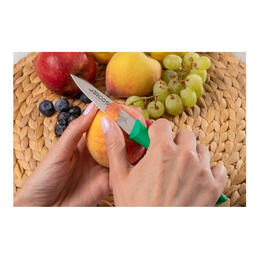 NOVA PARING KNIFE - Mabrook Hotel Supplies