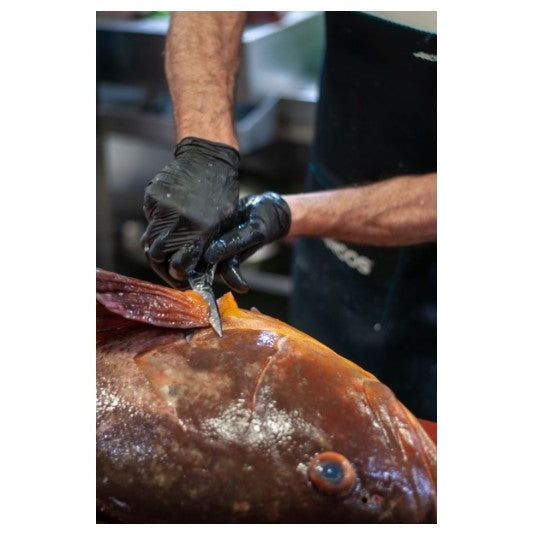 FORGED SERIES 190 MM KITCHEN SCISSORS - Mabrook Hotel Supplies