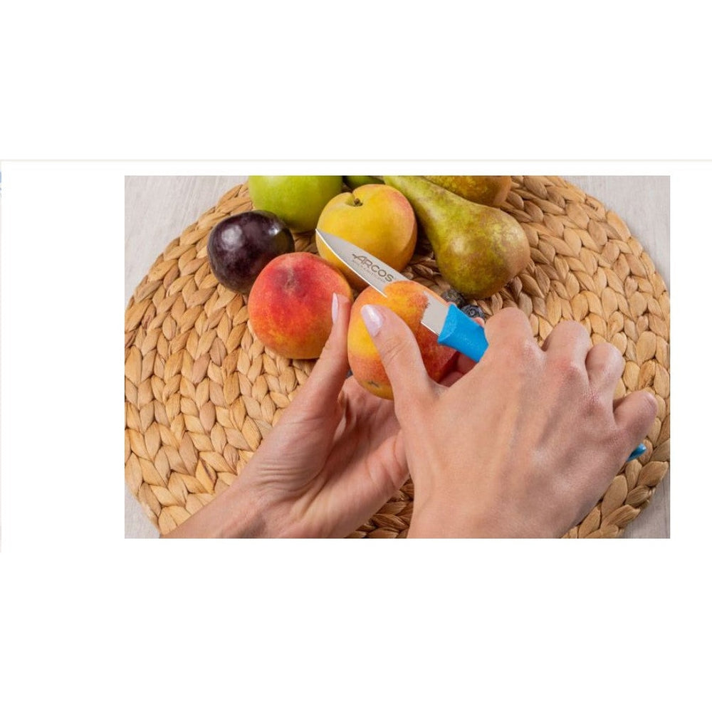 NOVA SERIES 85 MM BLUE COLOUR PARING KNIFE - Mabrook Hotel Supplies