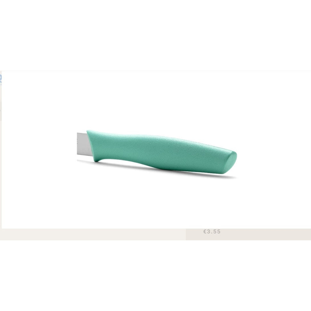 NOVA SERIES 85 MM MINT COLOUR PARING KNIFE - Mabrook Hotel Supplies