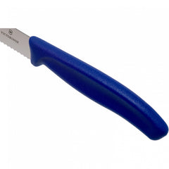 VICTORINOX SWISS CLASSIC TOMATO AND TABLE KNIFE BLUE, 11 CM. - Mabrook Hotel Supplies