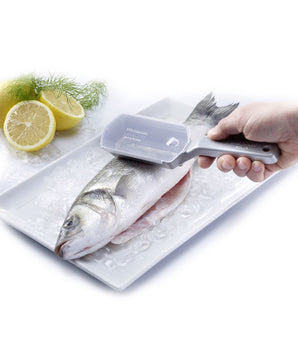 MATFER STAINLESS STEEL FISH SCALER - Mabrook Hotel Supplies