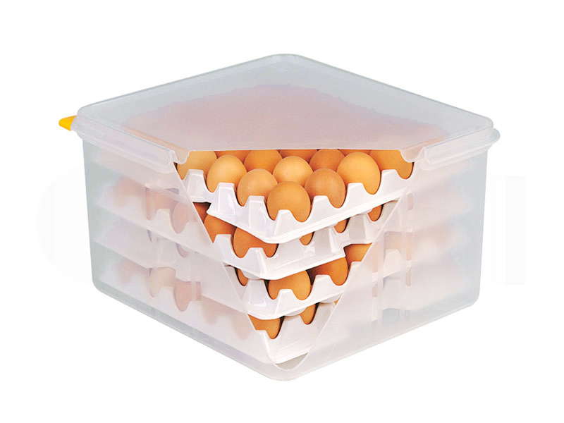 ARAVEN EGG CONTAINER GN 2/3 - Mabrook Hotel Supplies