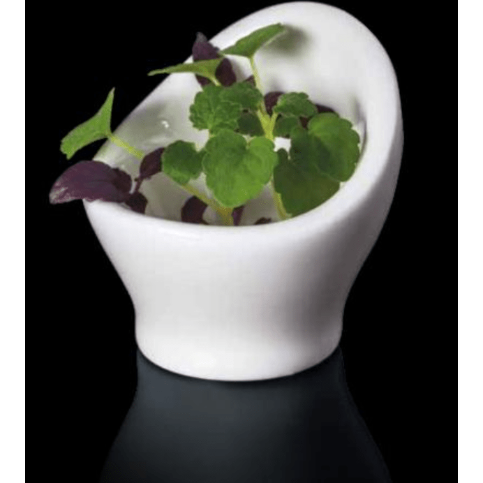 RAK MINIMAX OPTICA EGG CUP - Mabrook Hotel Supplies