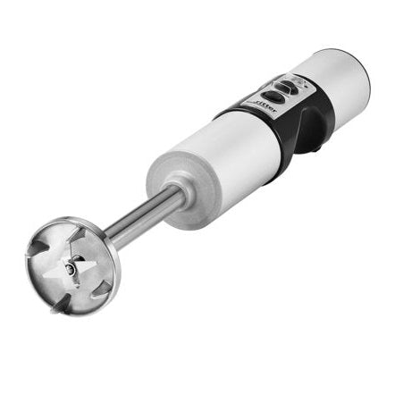 RITTER CORDLESS , BETTERY-OPERATED HAND BLENDER - Mabrook Hotel Supplies