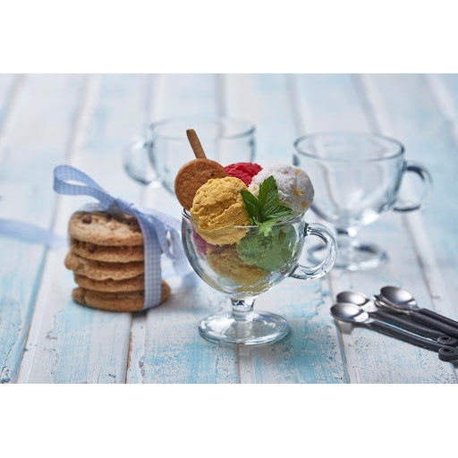 PASABACHE VIARO GLASS CUP WITH HANDLE - Mabrook Hotel Supplies